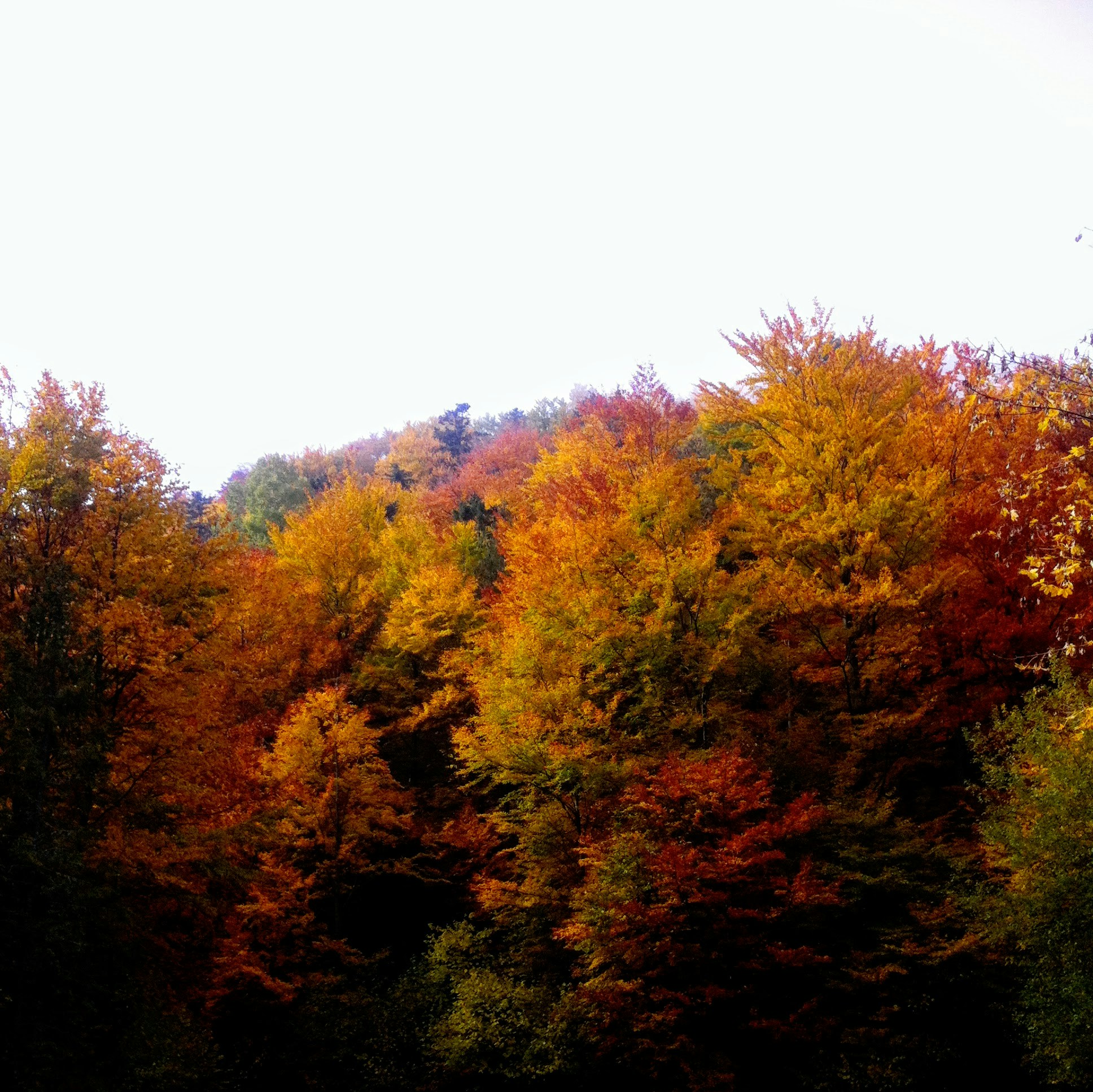 Free Unsplash photo from Steve McPie