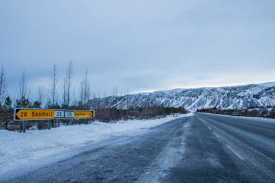 A snow-covered road stretches towards a distant mountain range on a cloudy day. Leafless trees line the left side of the road, with a yellow road sign indicating directions to Skálholt and Selfoss. The landscape is blanketed in snow, creating a serene and cold atmosphere.