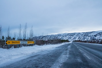 A snow-covered road stretches towards a distant mountain range on a cloudy day. Leafless trees line the left side of the road, with a yellow road sign indicating directions to Skálholt and Selfoss. The landscape is blanketed in snow, creating a serene and cold atmosphere.