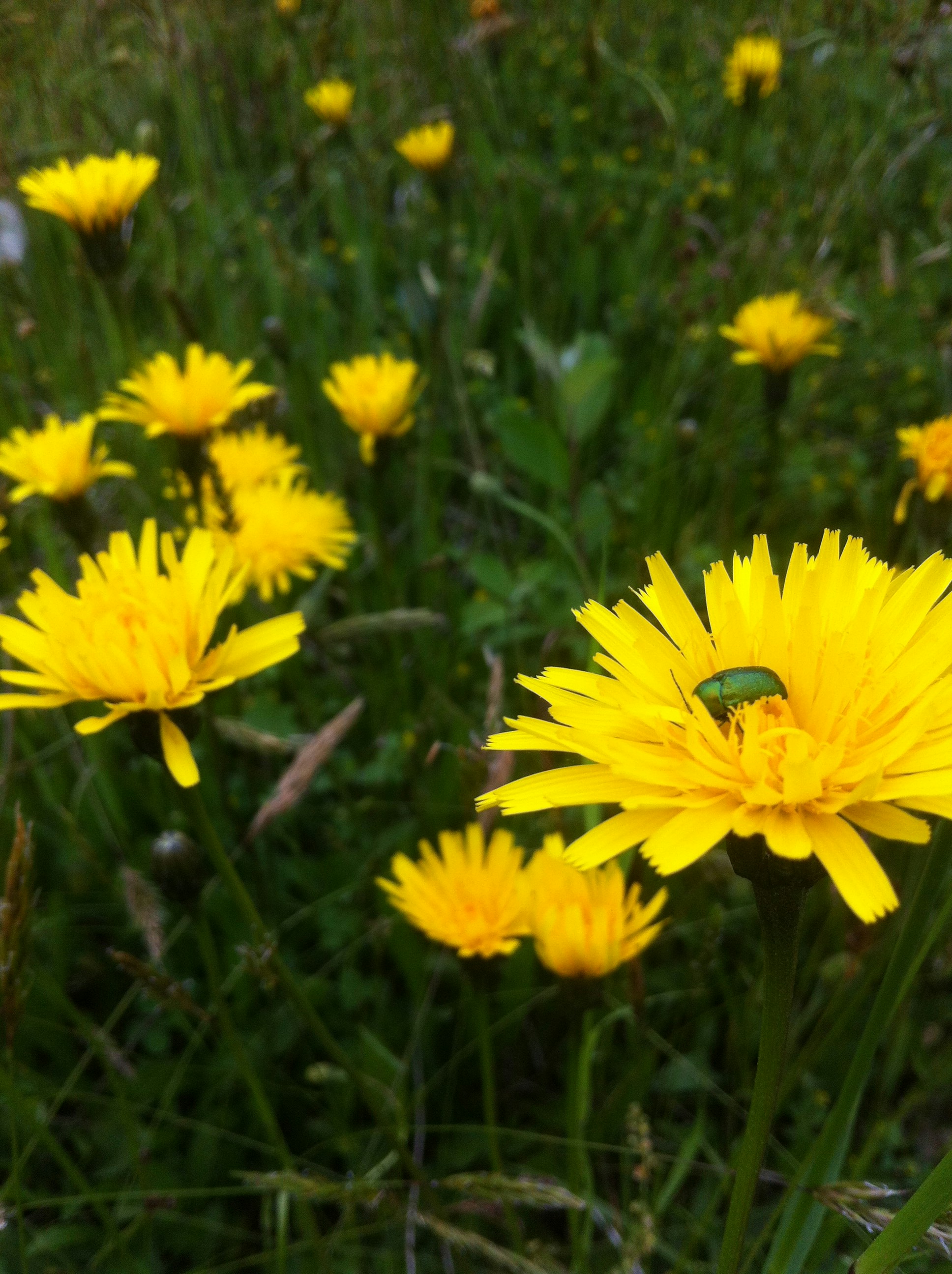 Free Unsplash photo from Steve McPie