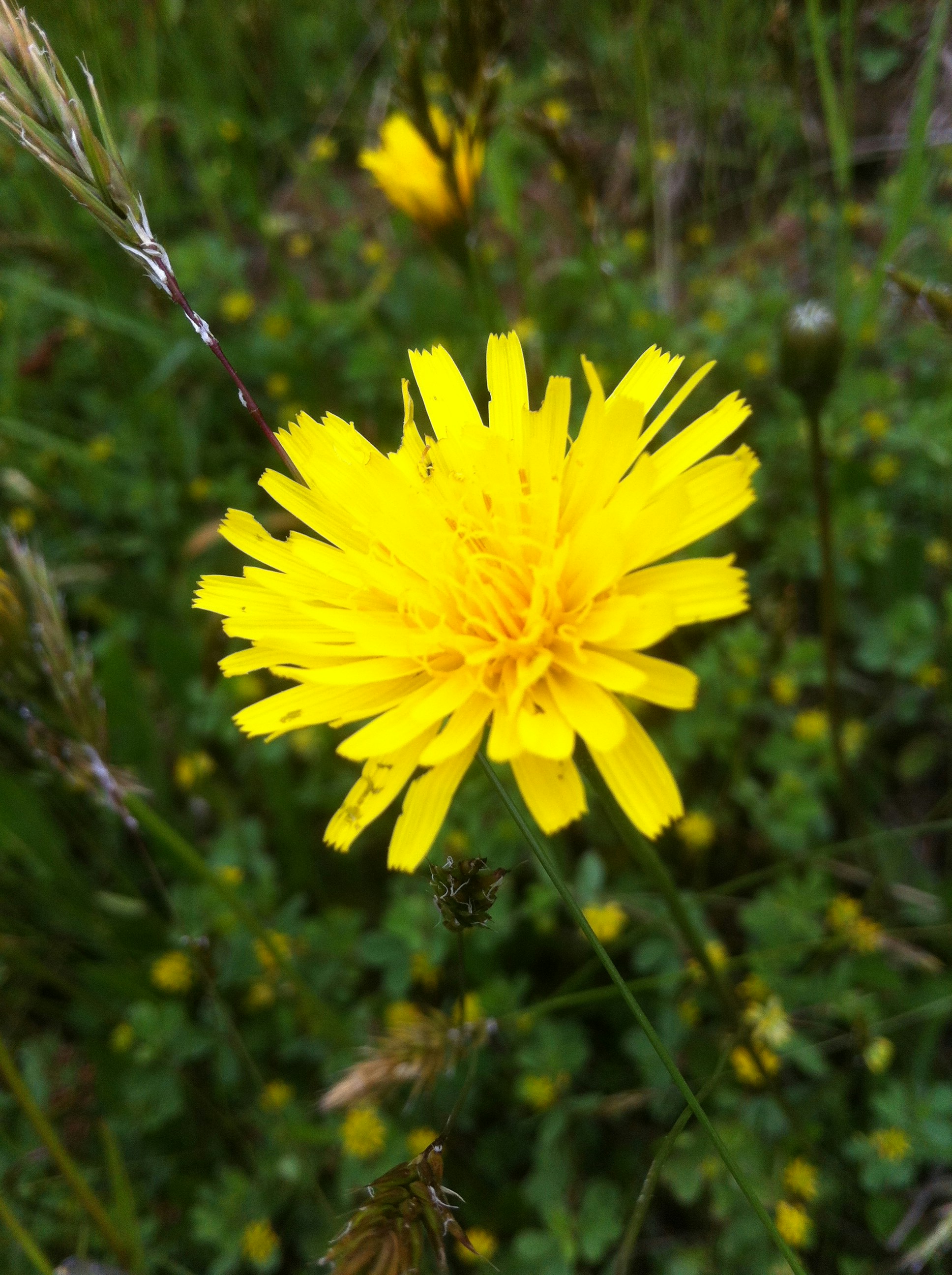 Free Unsplash photo from Steve McPie