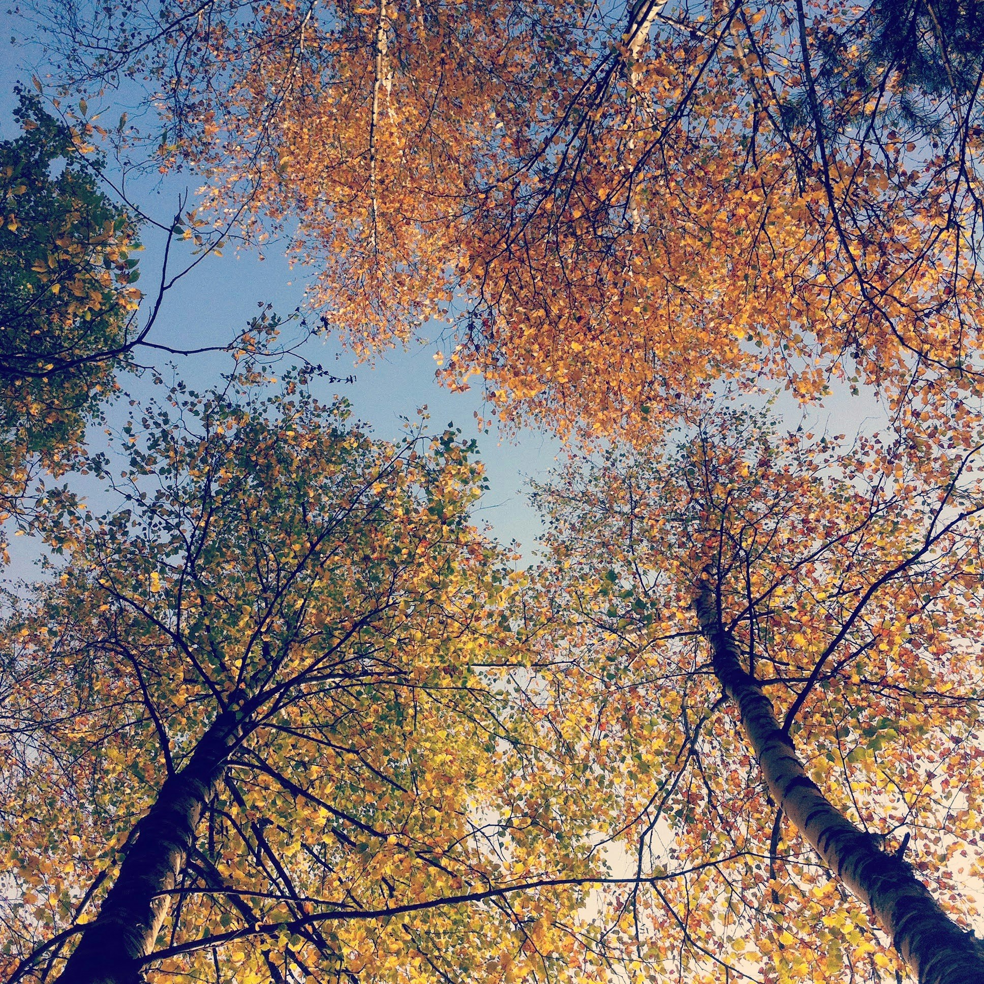 Free Unsplash photo from Steve McPie