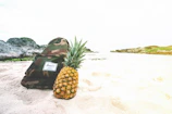 A soft-focus close-up of a vintage backpack resting against a sandy beach backdrop.