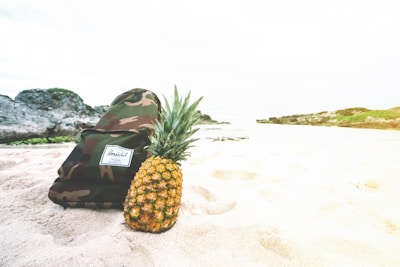A sleek navy-blue backpack resting on sunlit sandy dunes by the ocean.