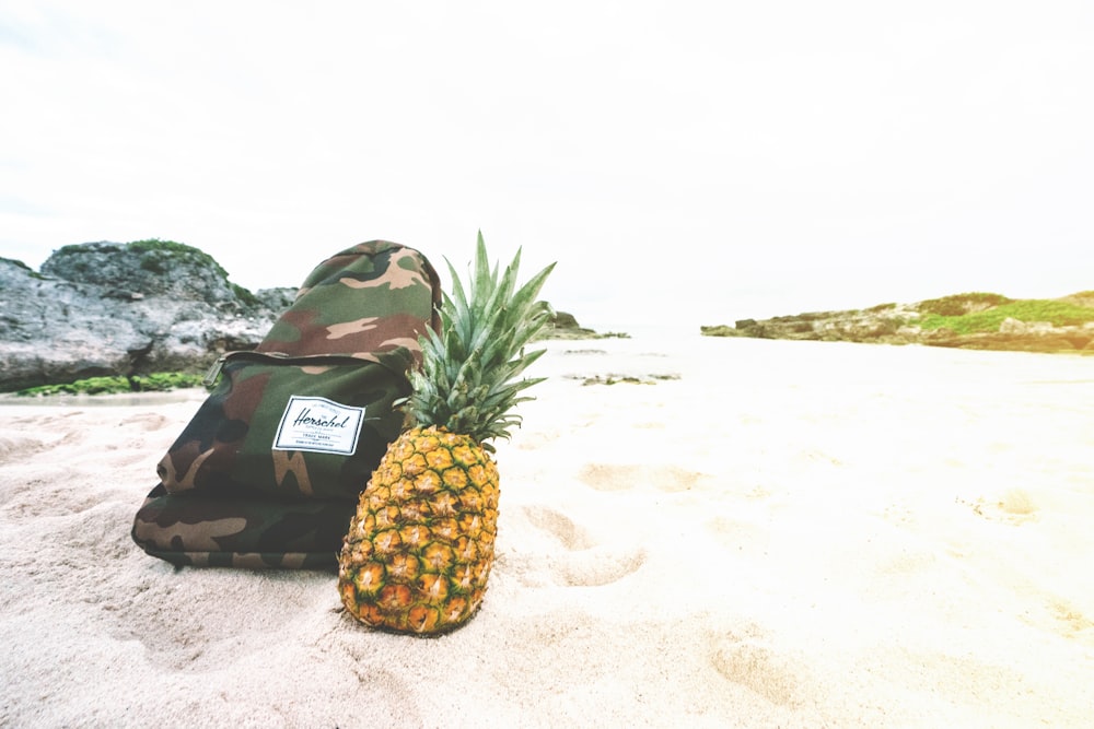 pineapple beside backpack