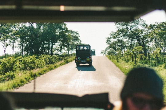 black car near green leafed trees in Kruger National Park South Africa