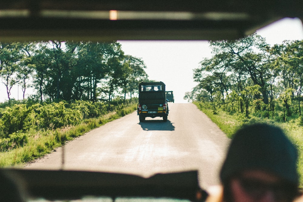 black car near green leafed trees