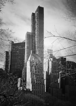A monochrome cityscape with tall, modern skyscrapers towering above shorter, older-style buildings. The foreground features bare branches from trees, adding an element of nature to the urban scene.