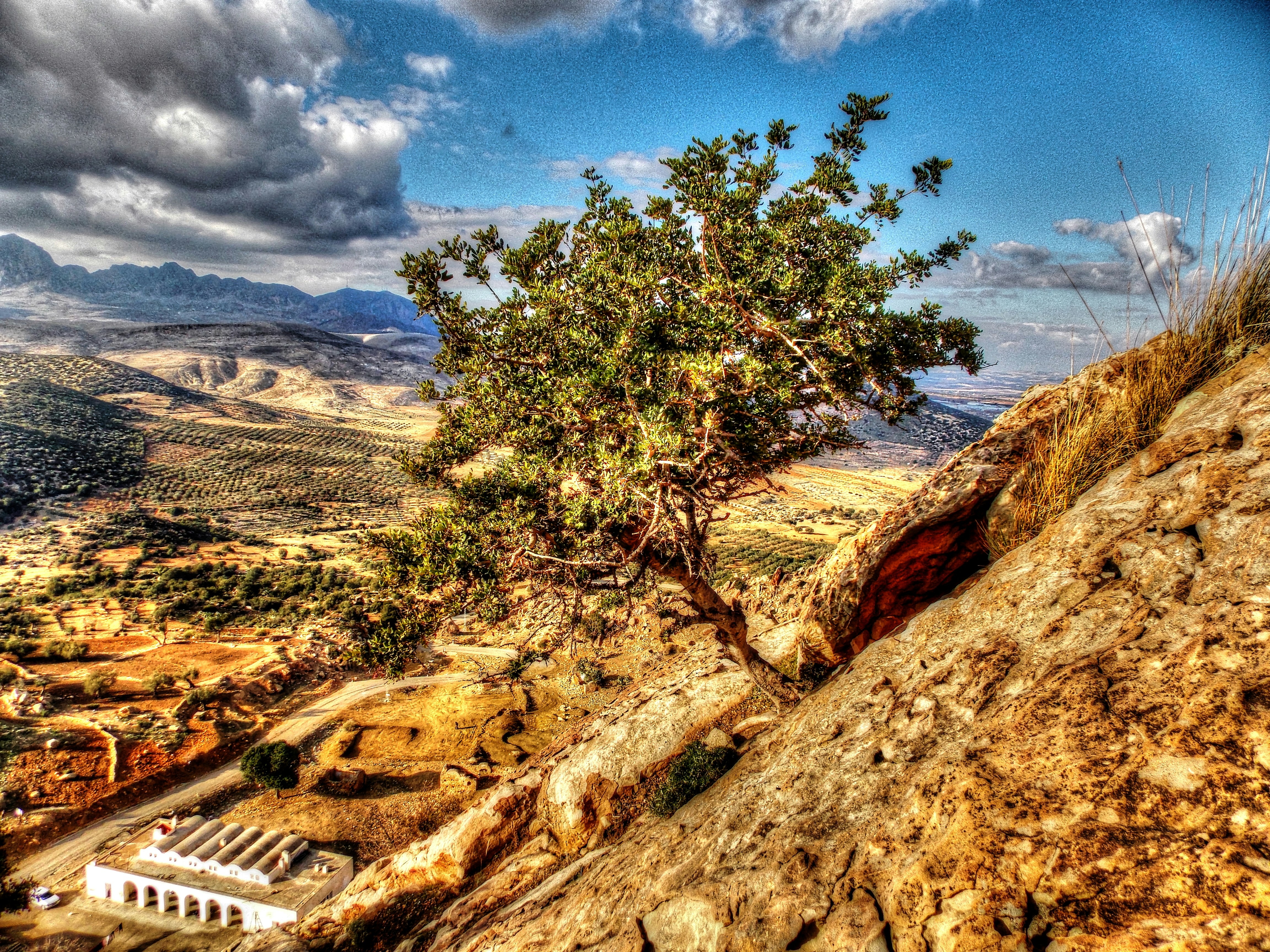 Free Unsplash photo from maher hizem