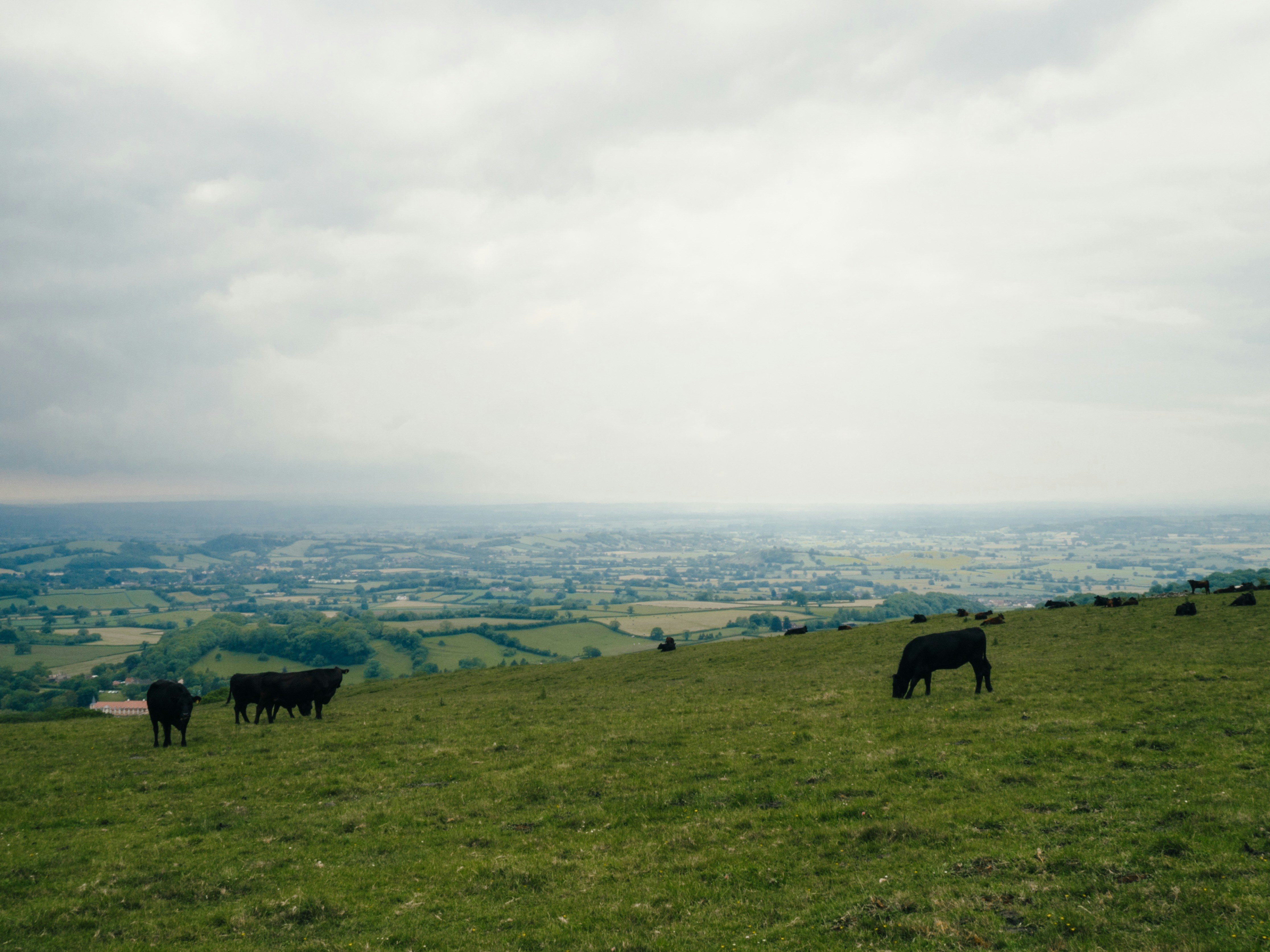 Photo By Andrew Ridley