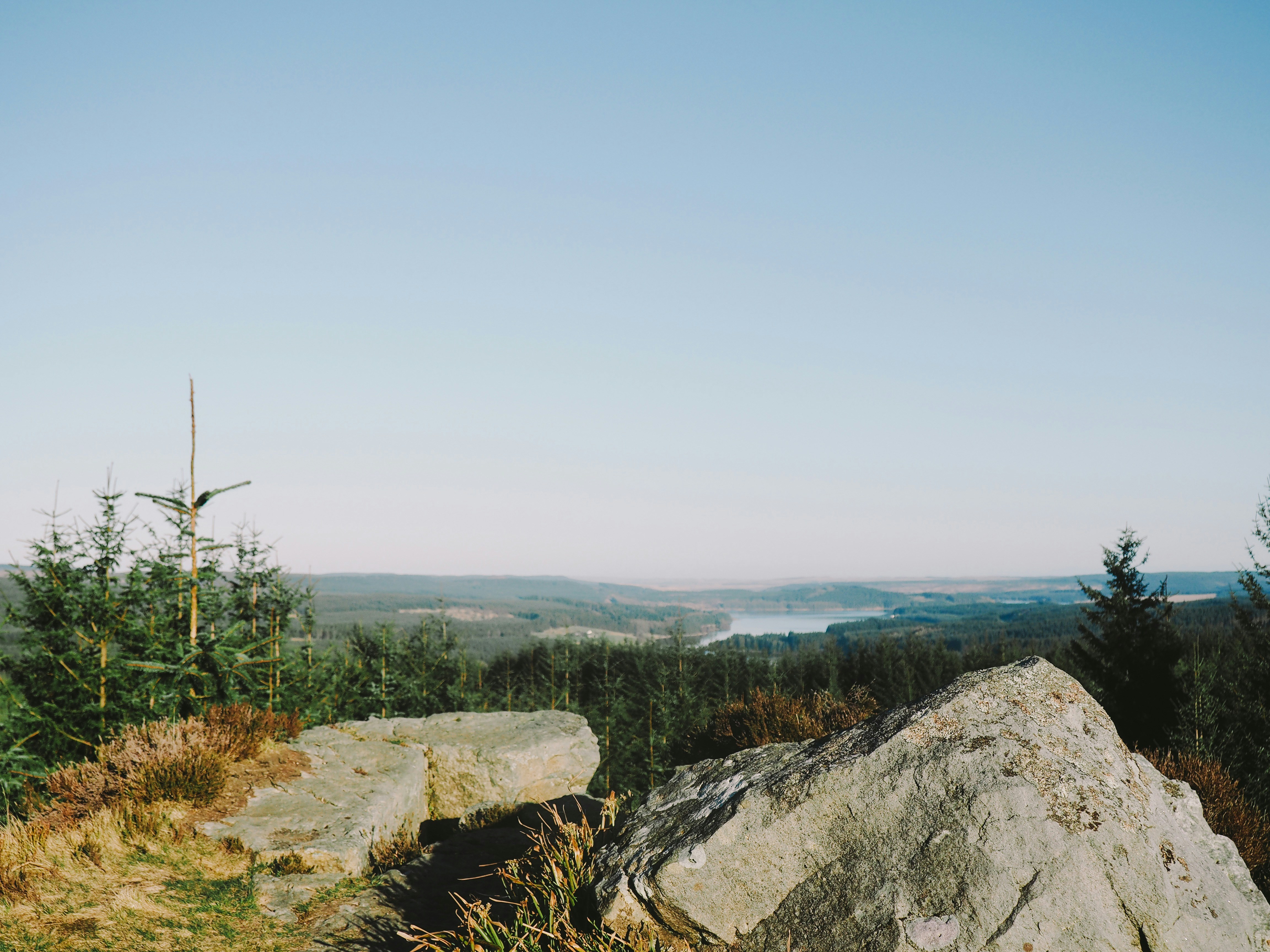 Photo By Andrew Ridley