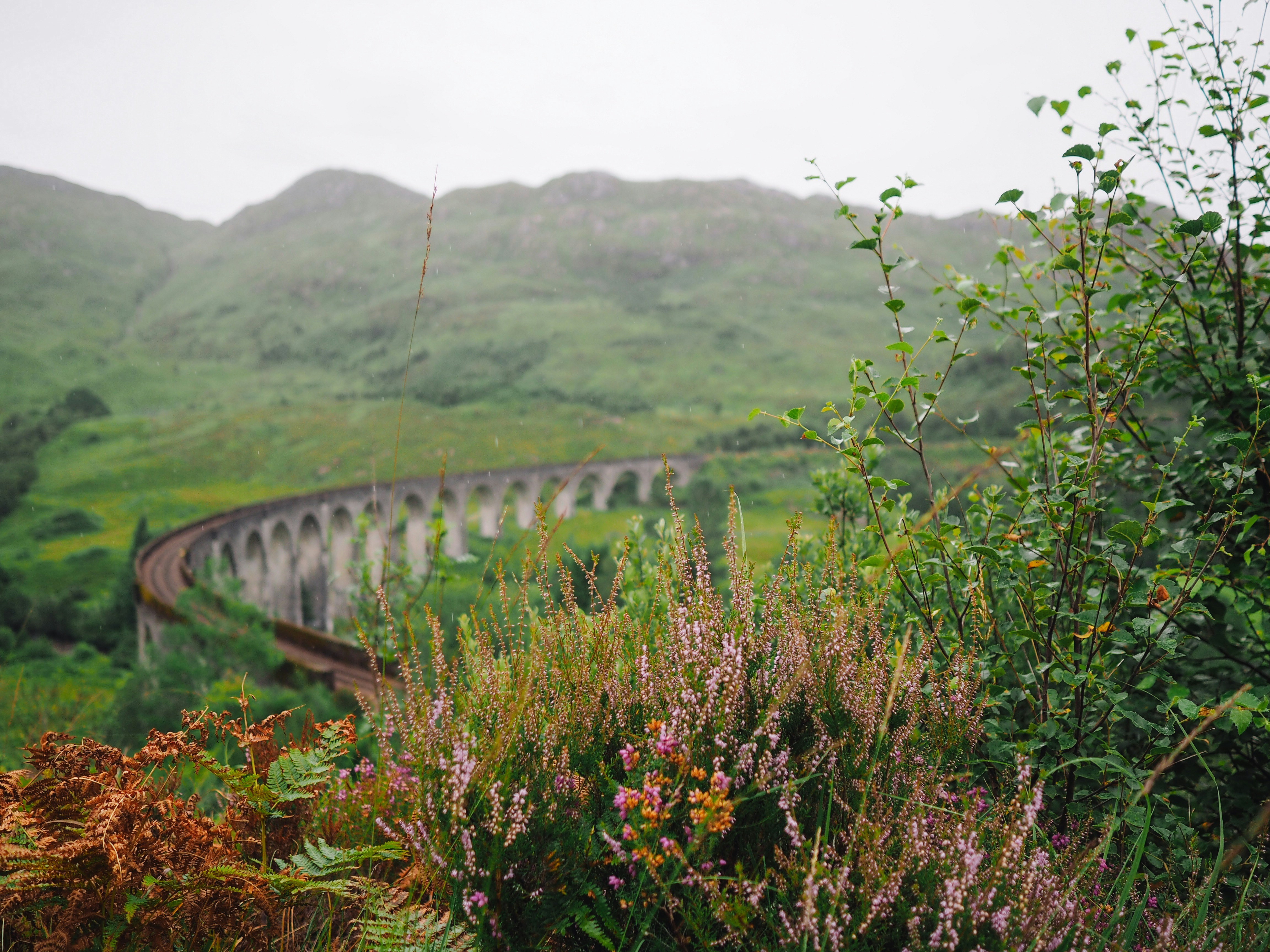 Photo By Andrew Ridley