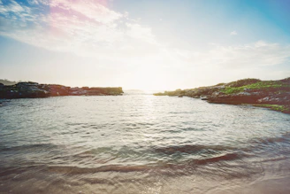 A serene Goan coastline at sunset with lush greenery and gentle waves.