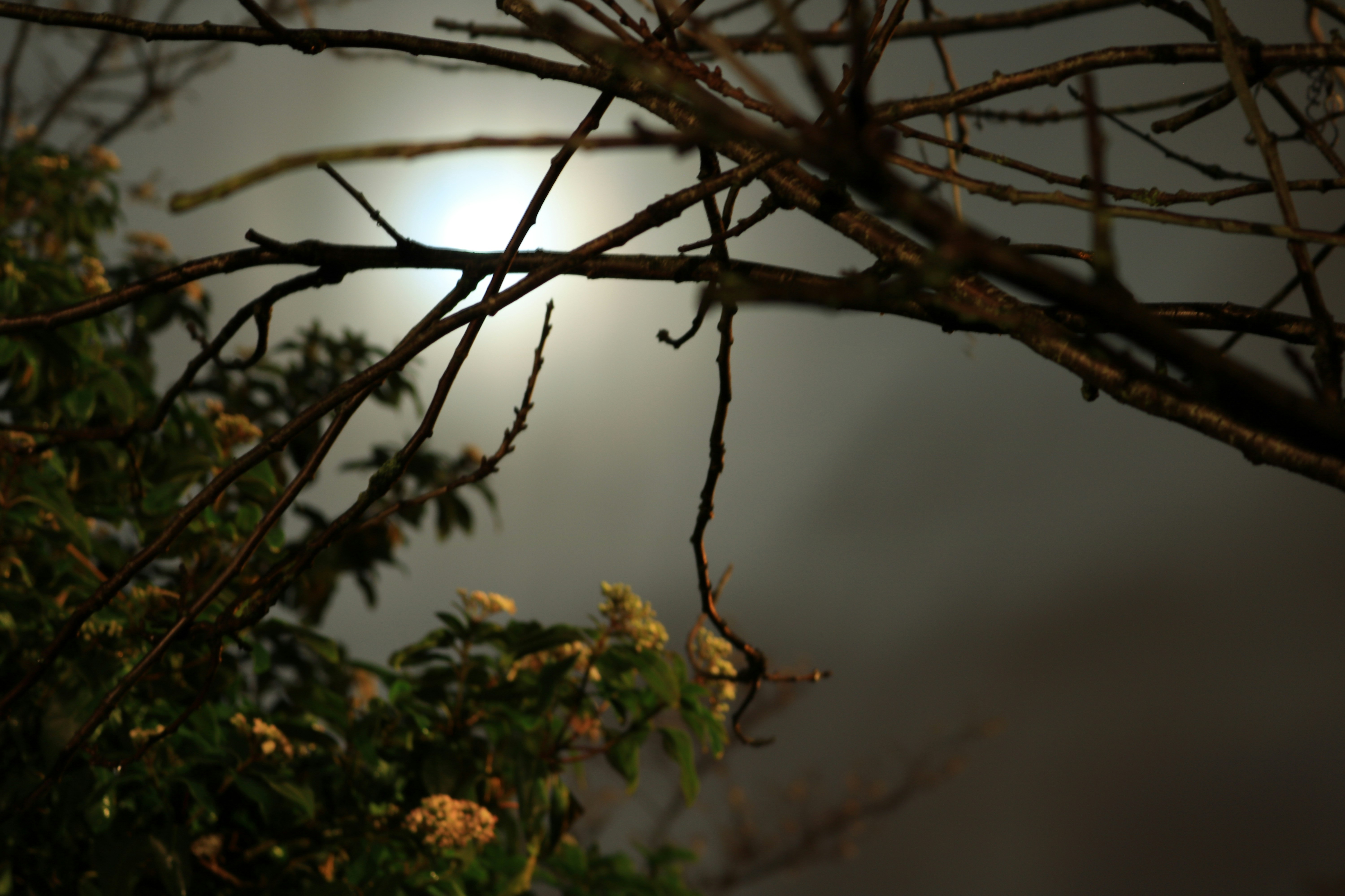 Free Unsplash photo from Sean Rickaby