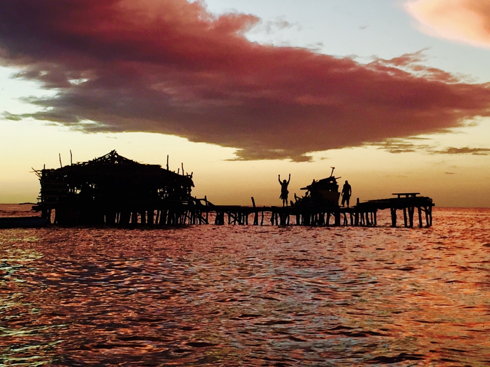 people on beach during sunset