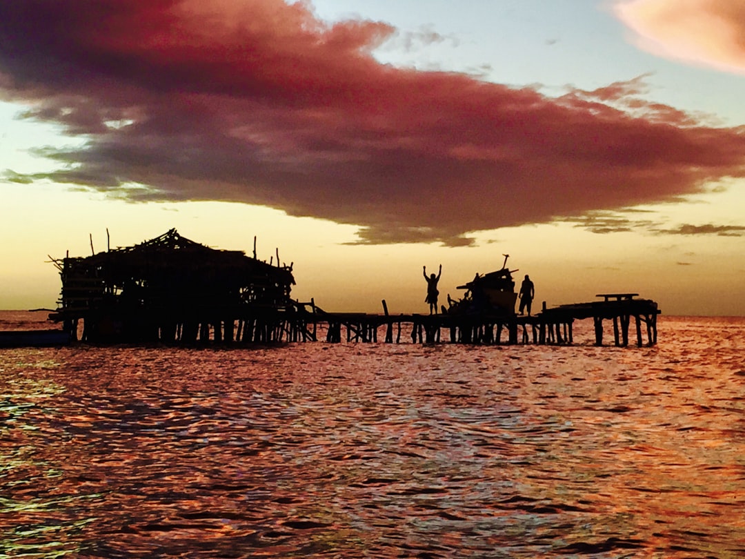 people on beach during sunset