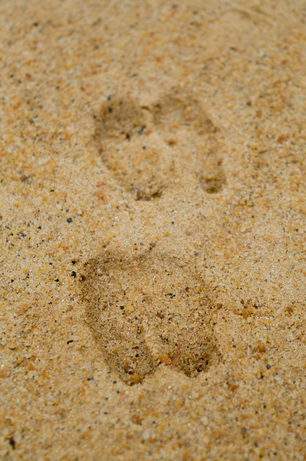 모래 위의 발자국