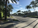 Sunlit palm trees lining the road as a transfer car passes by in the afternoon