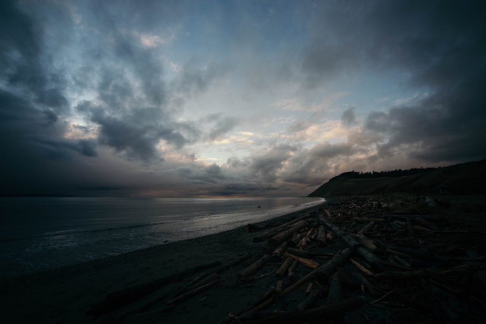 seashore during daytime