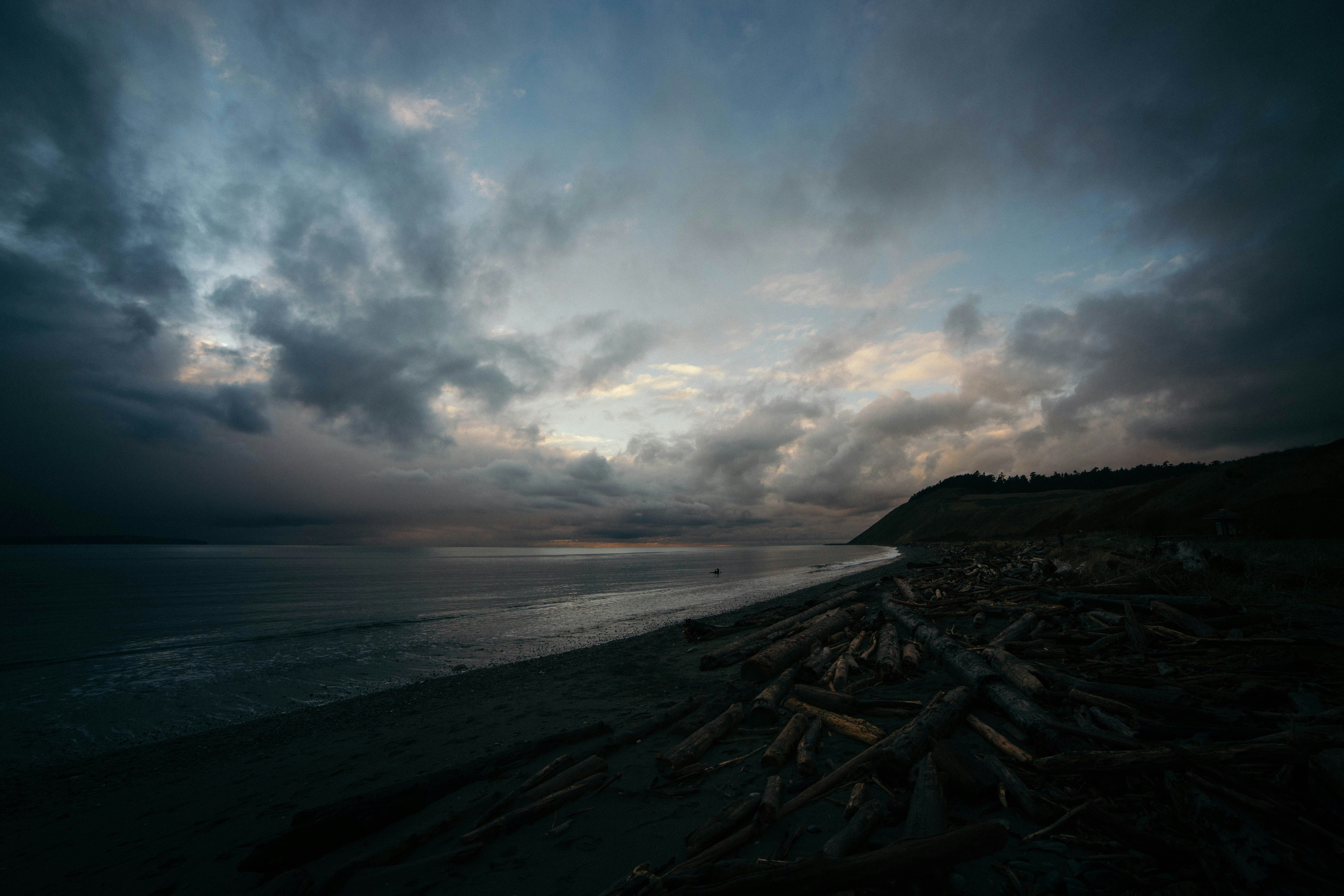 seashore during daytime