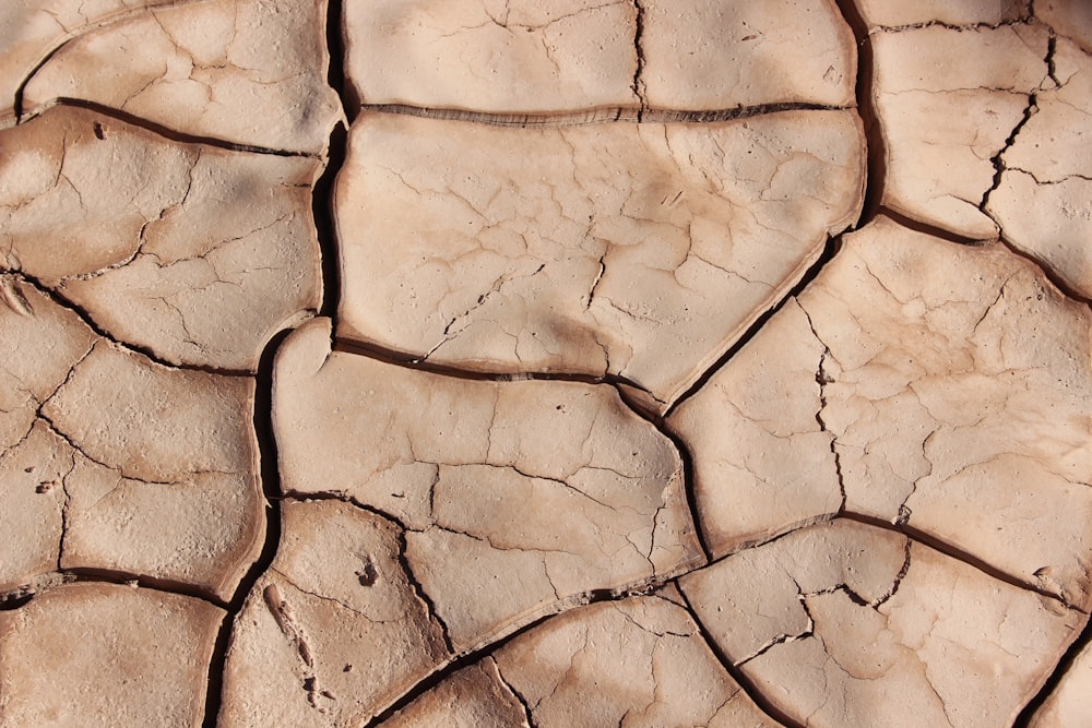 20 Free Desert Pictures Stock Photos On Unsplash Images, Photos, Reviews