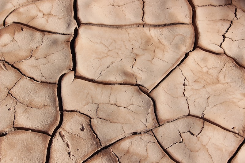 Dried cracked soil in a drought