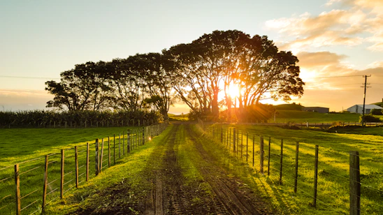 road in between brown wooden fences