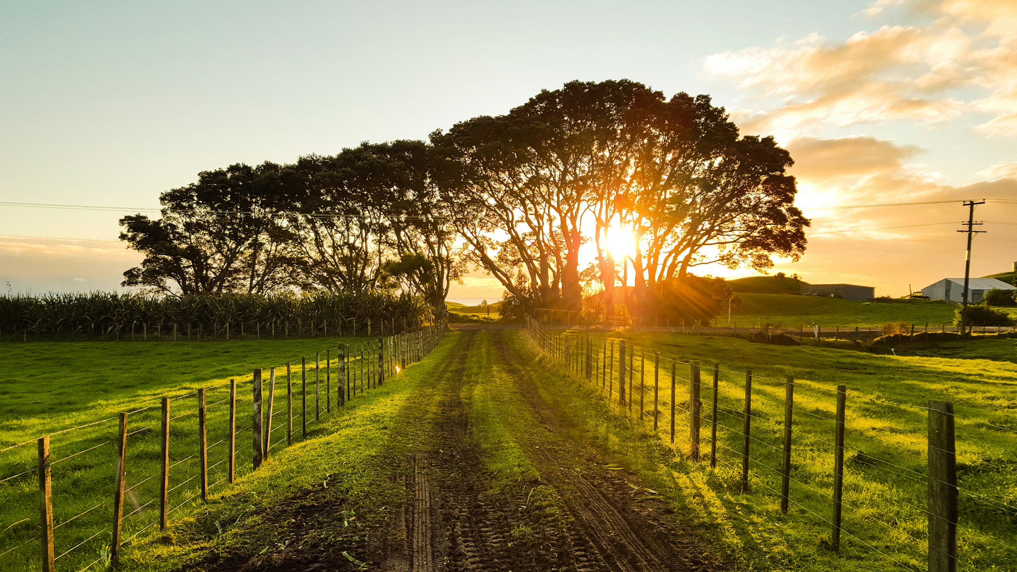 Six Steps to Research Your Rural PA Ancestors