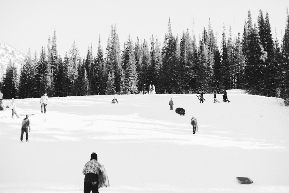 people skiing during daytime