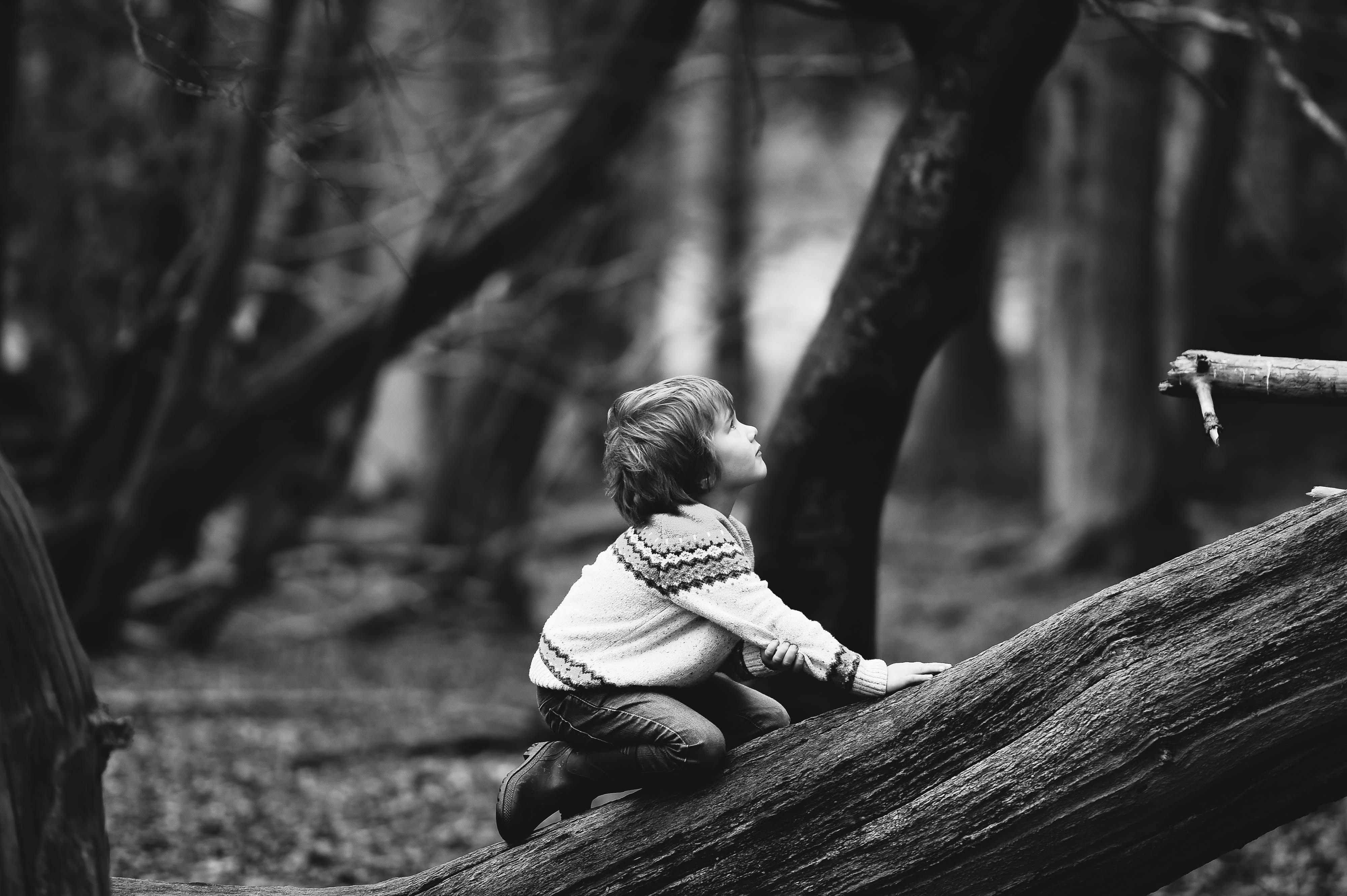 boy climbing fallen tree
