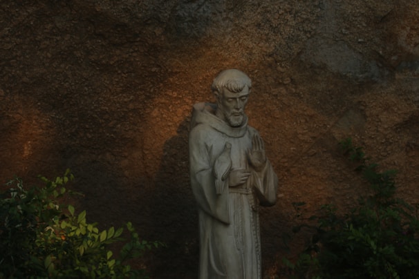 A warm illustration of Saint Francis gently holding a small bird, surrounded by soft greenery.