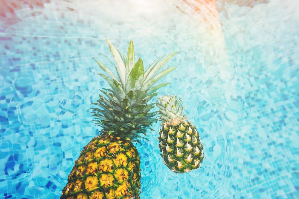 two pineapples on body of water