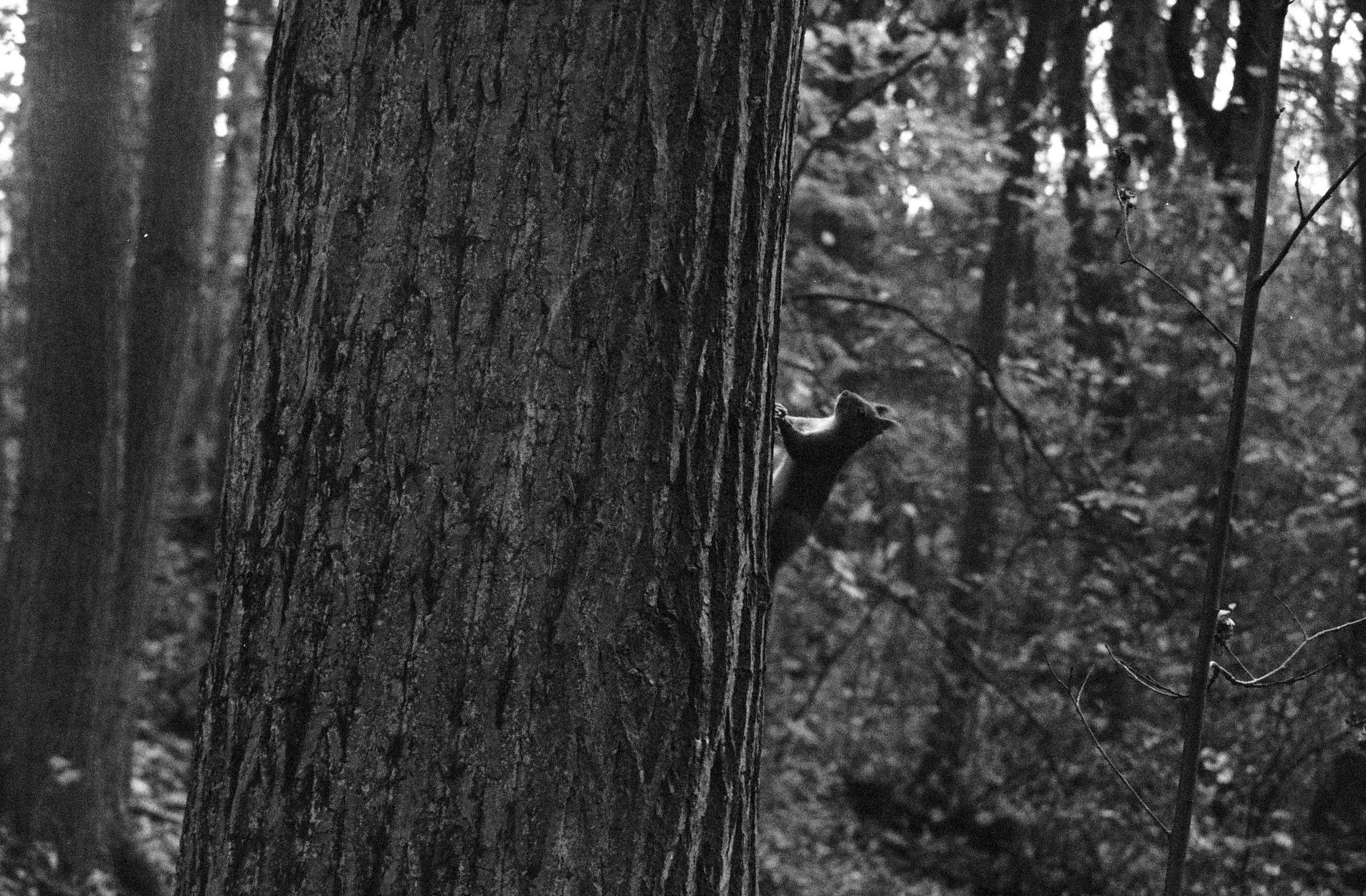 Free Unsplash photo from yx elle