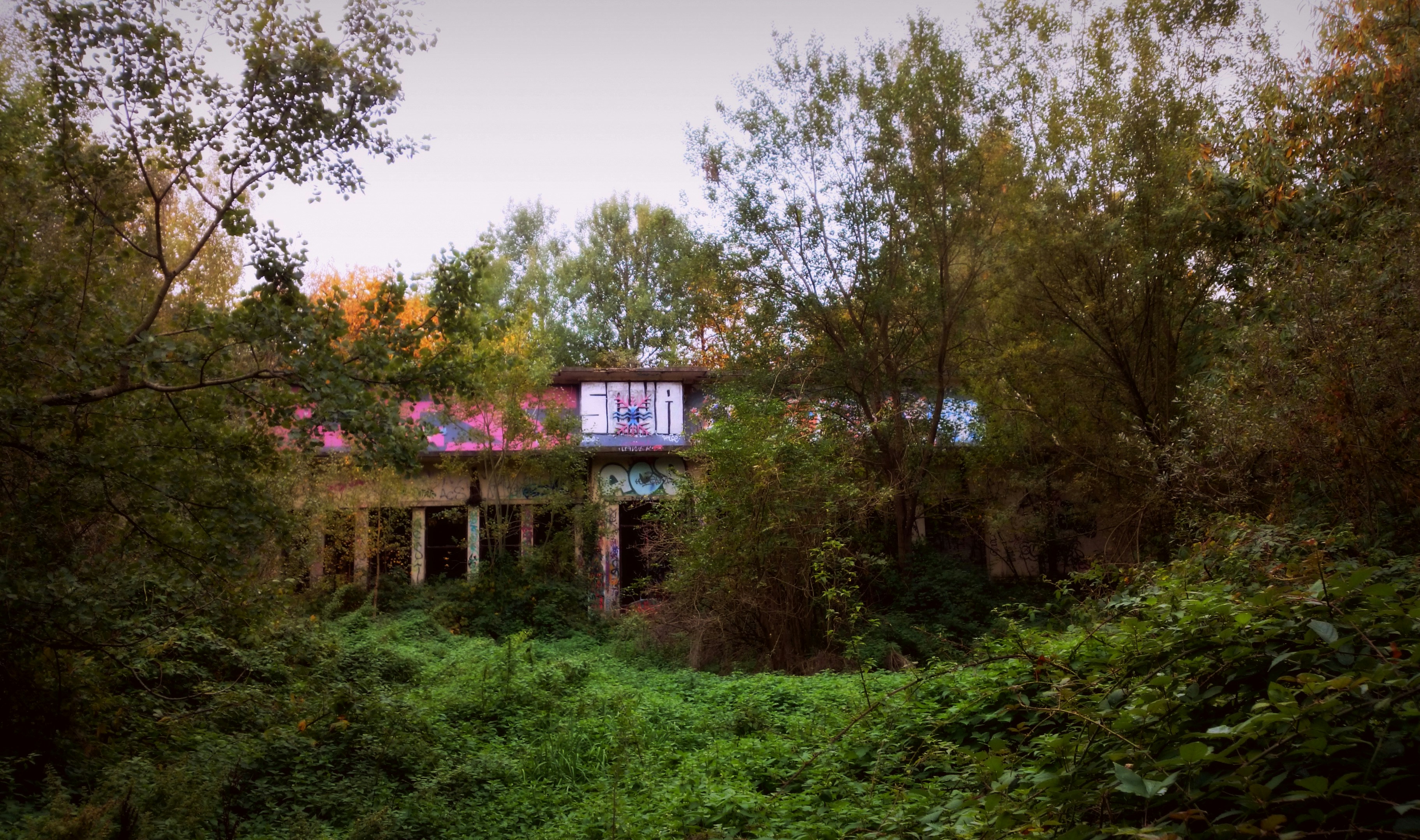 Free Unsplash photo from yx elle