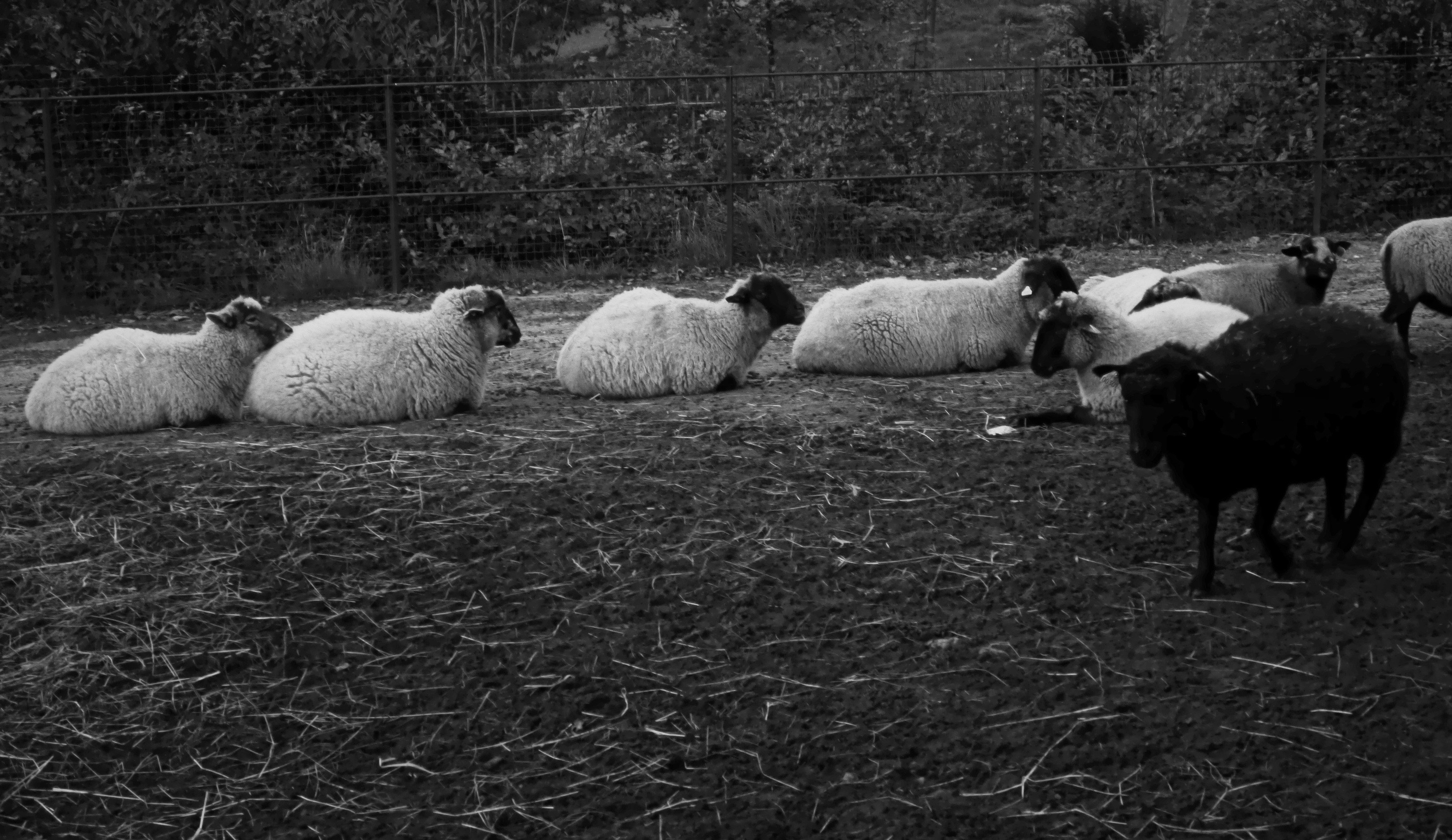 Free Unsplash photo from yx elle