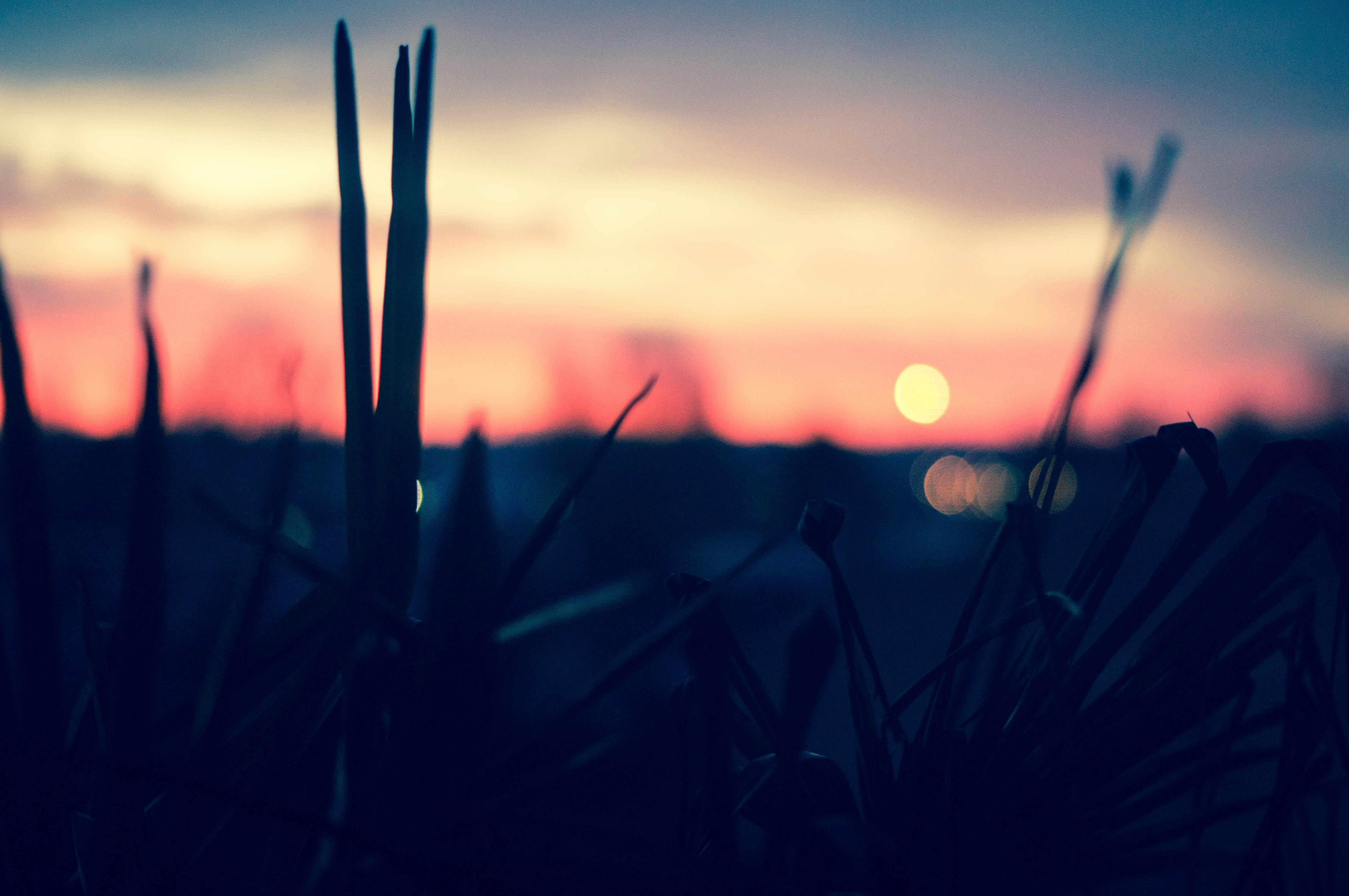 Free Unsplash photo from Wassim Samad