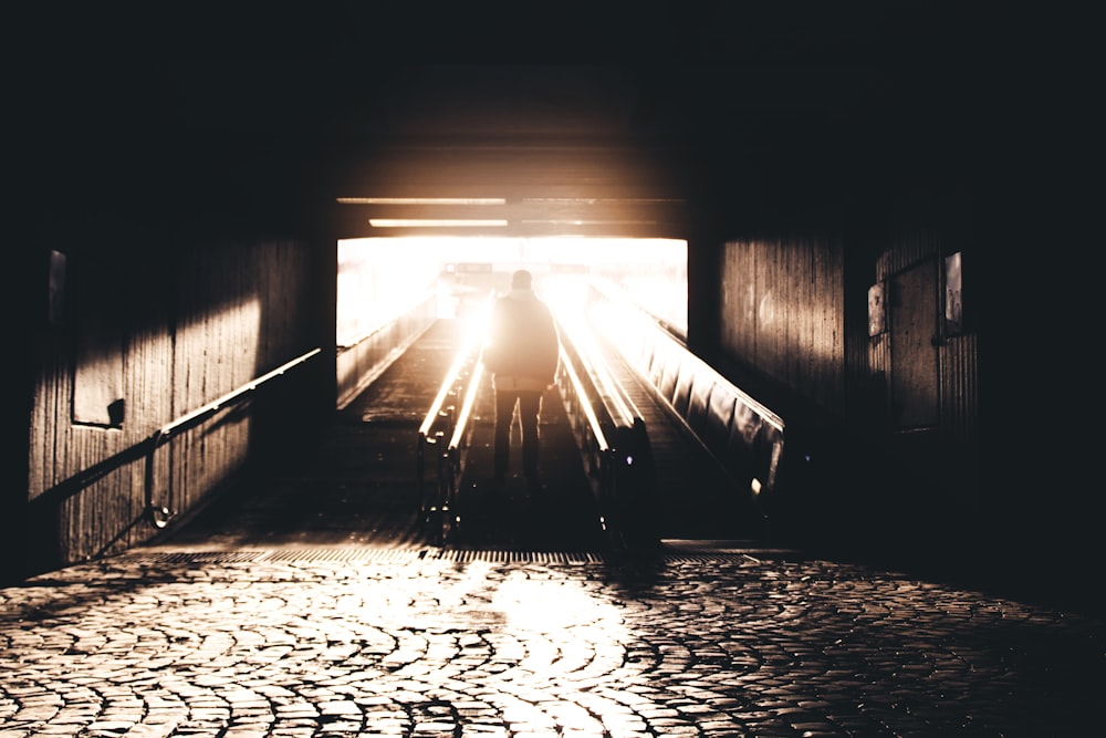 silhouette of man standing in staircase