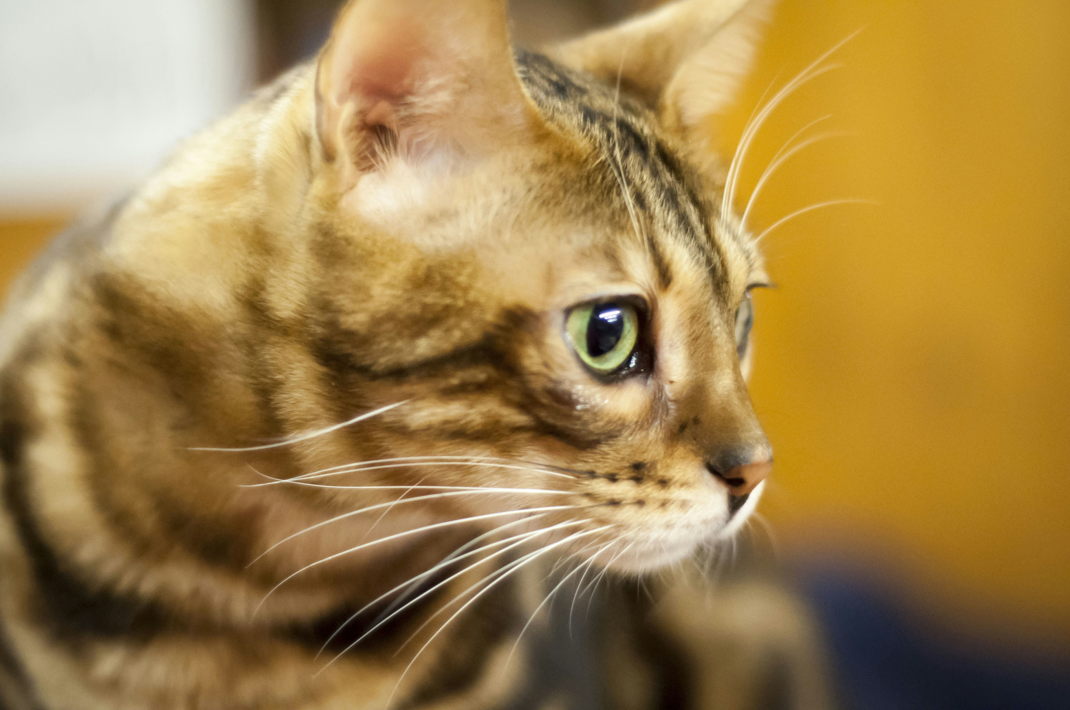 Free Unsplash photo from boram kim