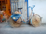 A uniquely decorated bicycle leans against a wall, with intricately woven baskets on both wheels and a basket on the handle filled with fruits. Beside the bicycle, a dog with a reddish-brown coat is sitting on a step in front of an open shop, where various items are visible on shelves inside.