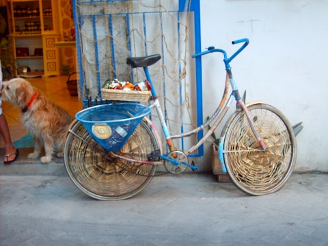A uniquely decorated bicycle leans against a wall, with intricately woven baskets on both wheels and a basket on the handle filled with fruits. Beside the bicycle, a dog with a reddish-brown coat is sitting on a step in front of an open shop, where various items are visible on shelves inside.