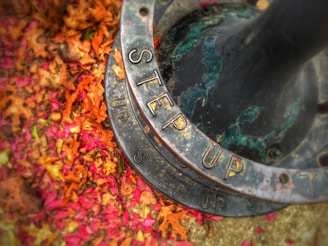A metal pole with the words 'STEP UP' inscribed on the base, surrounded by vibrant autumn leaves in shades of red, orange, and brown.