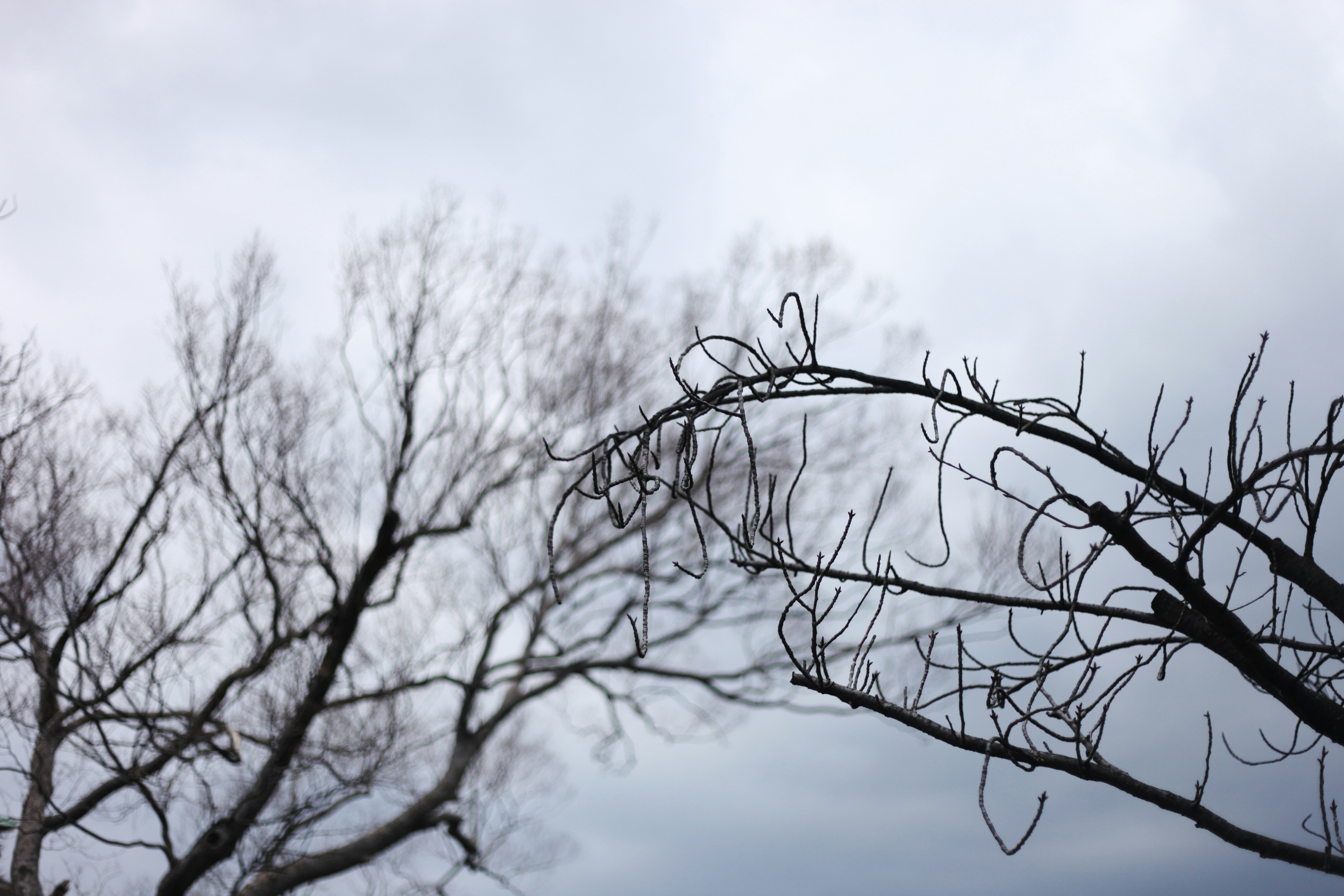 Free Unsplash photo from Aimanness Harun