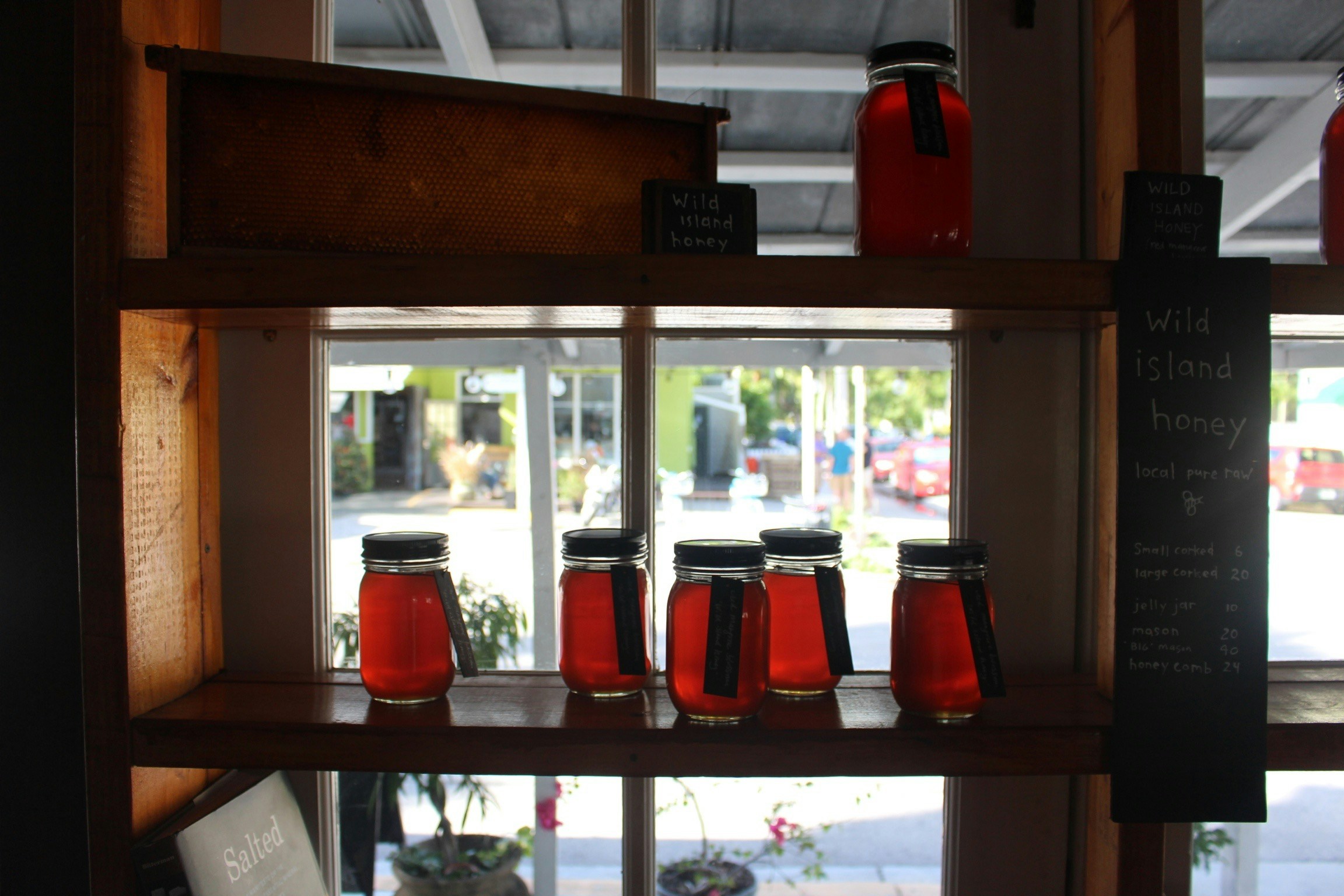 Free Unsplash photo from Maya Ilana