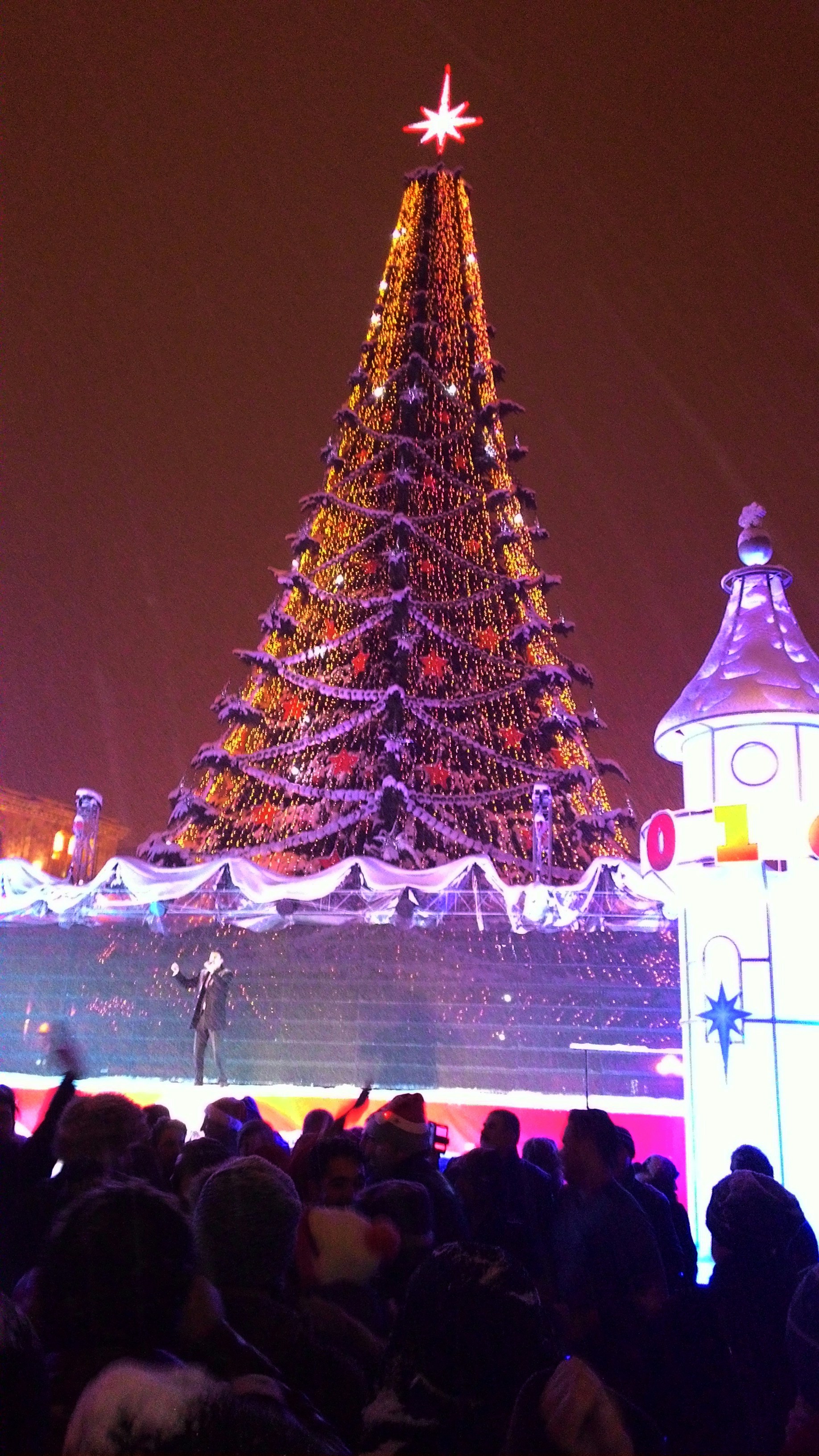 Free Unsplash photo from Sajedeh Yazdani