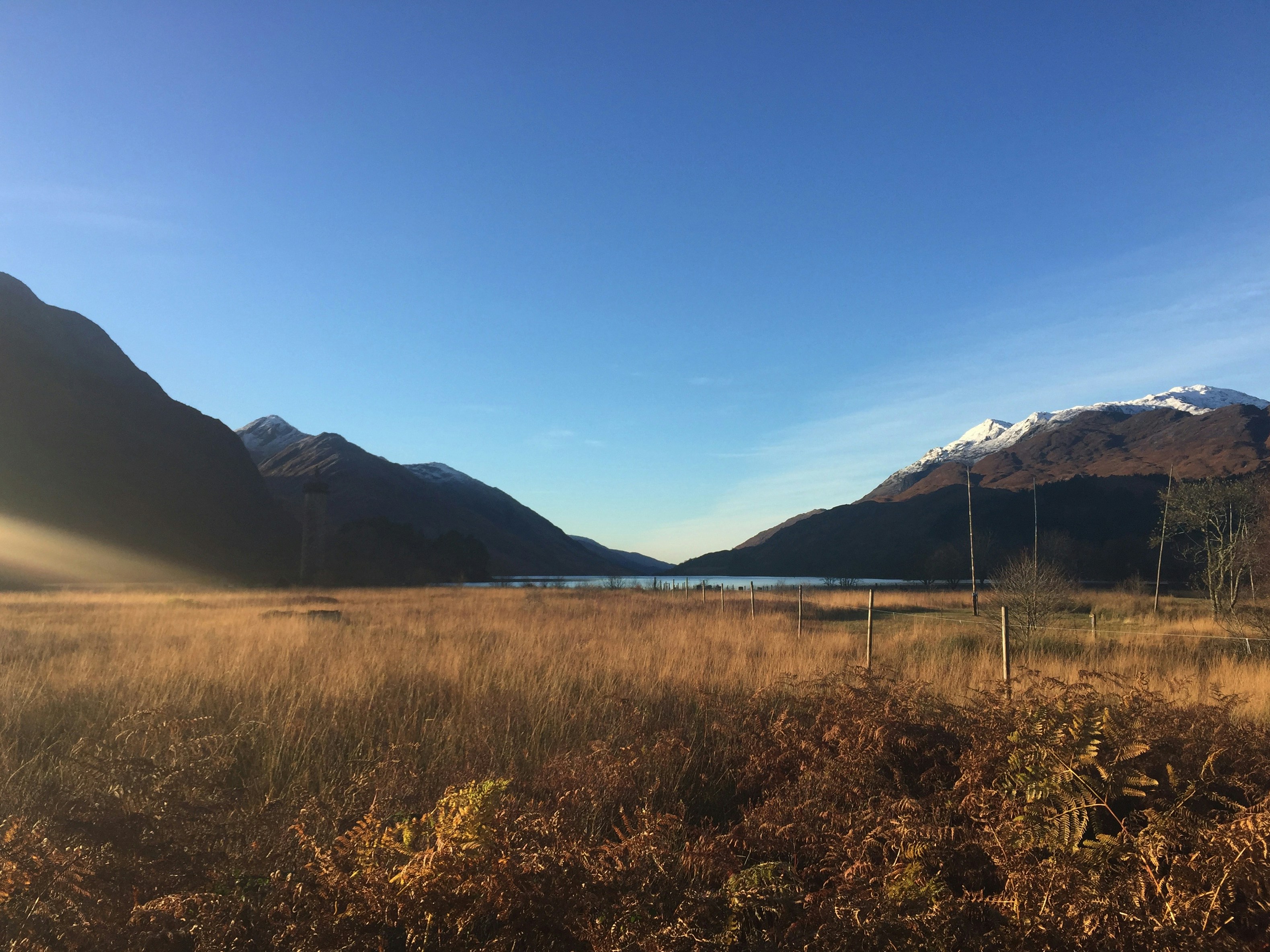 Free Unsplash photo from Yi Zhao