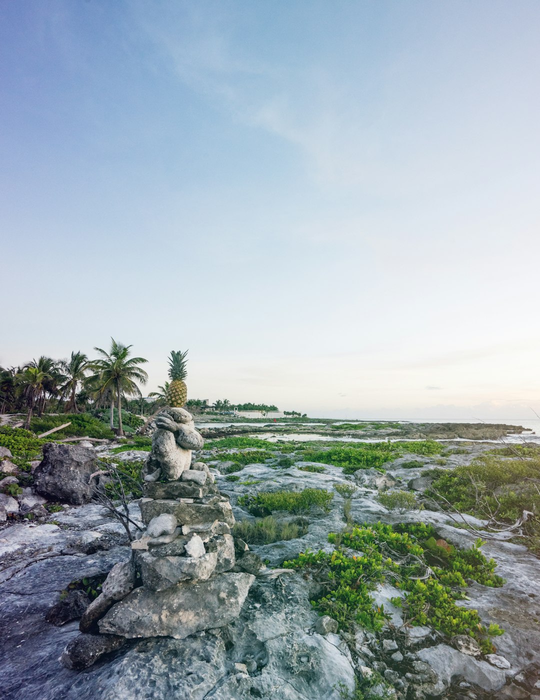 Shore photo spot Grand Sirenis Riviera Maya Resort Cancún