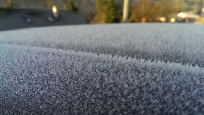 Close-up of a freezer with frost-free technology in a modern kitchen.