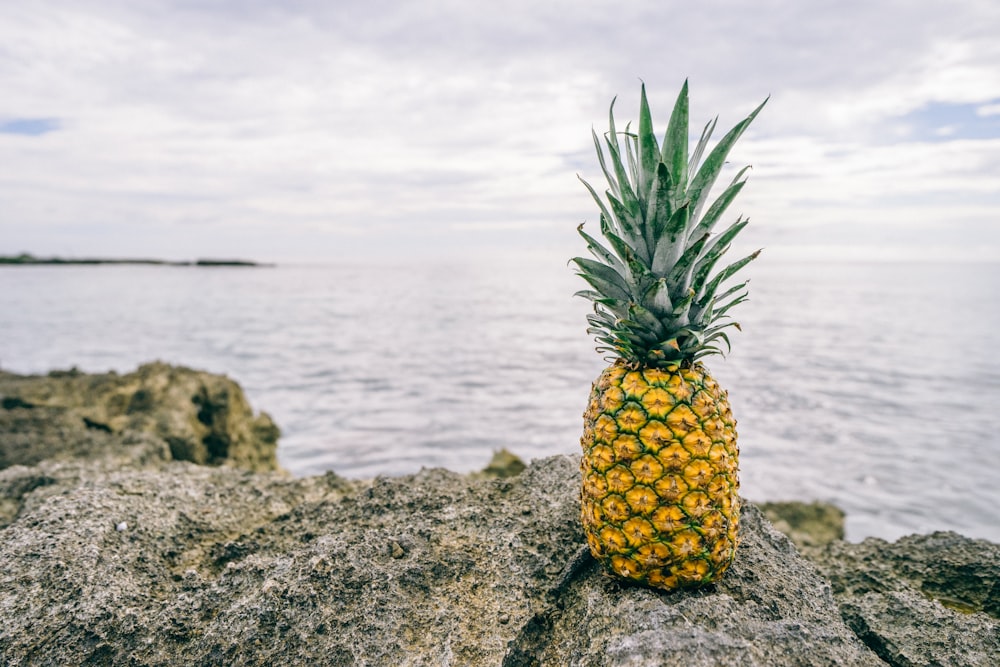 photo of pineapple on rock