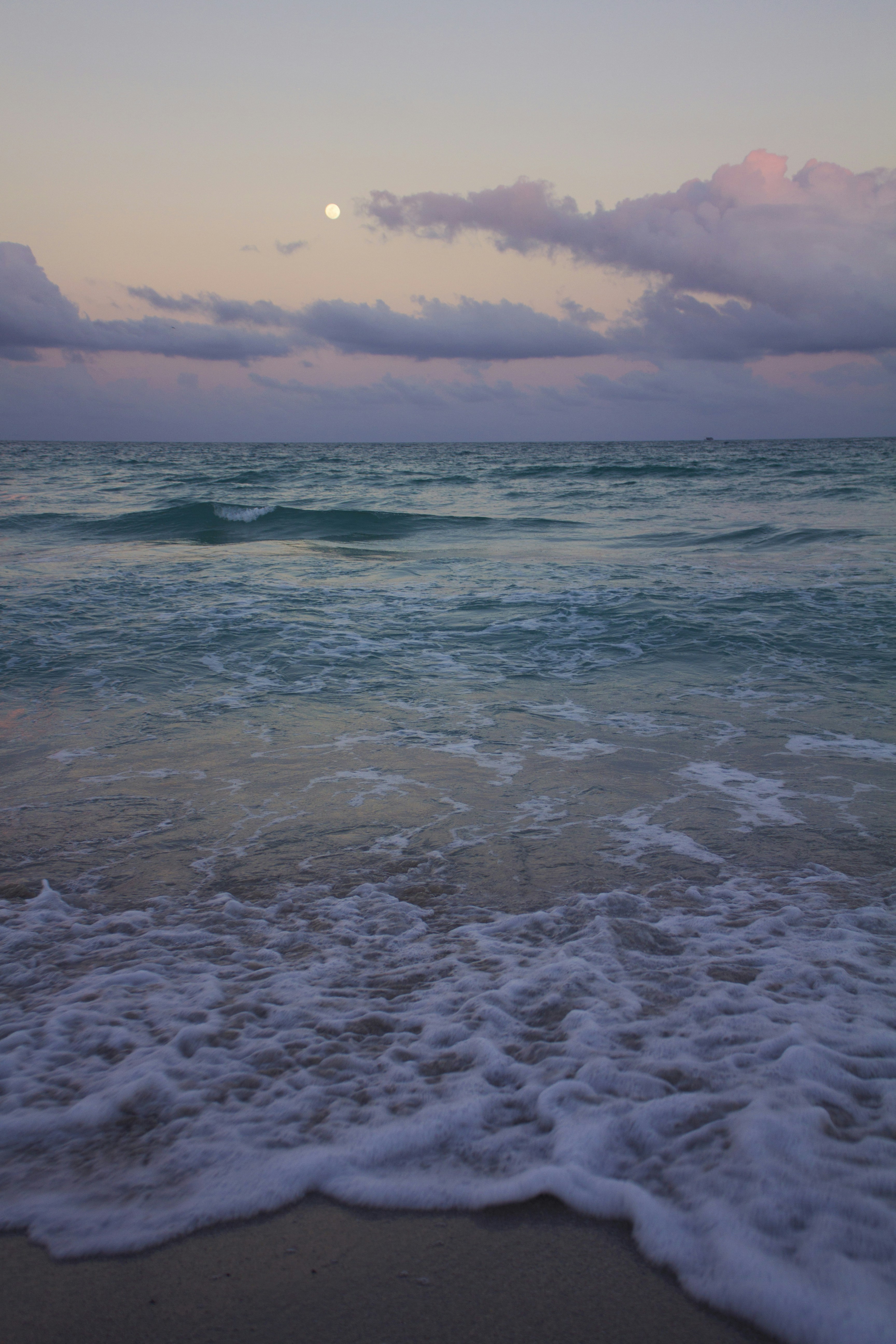 Free Unsplash photo from Monica Winters