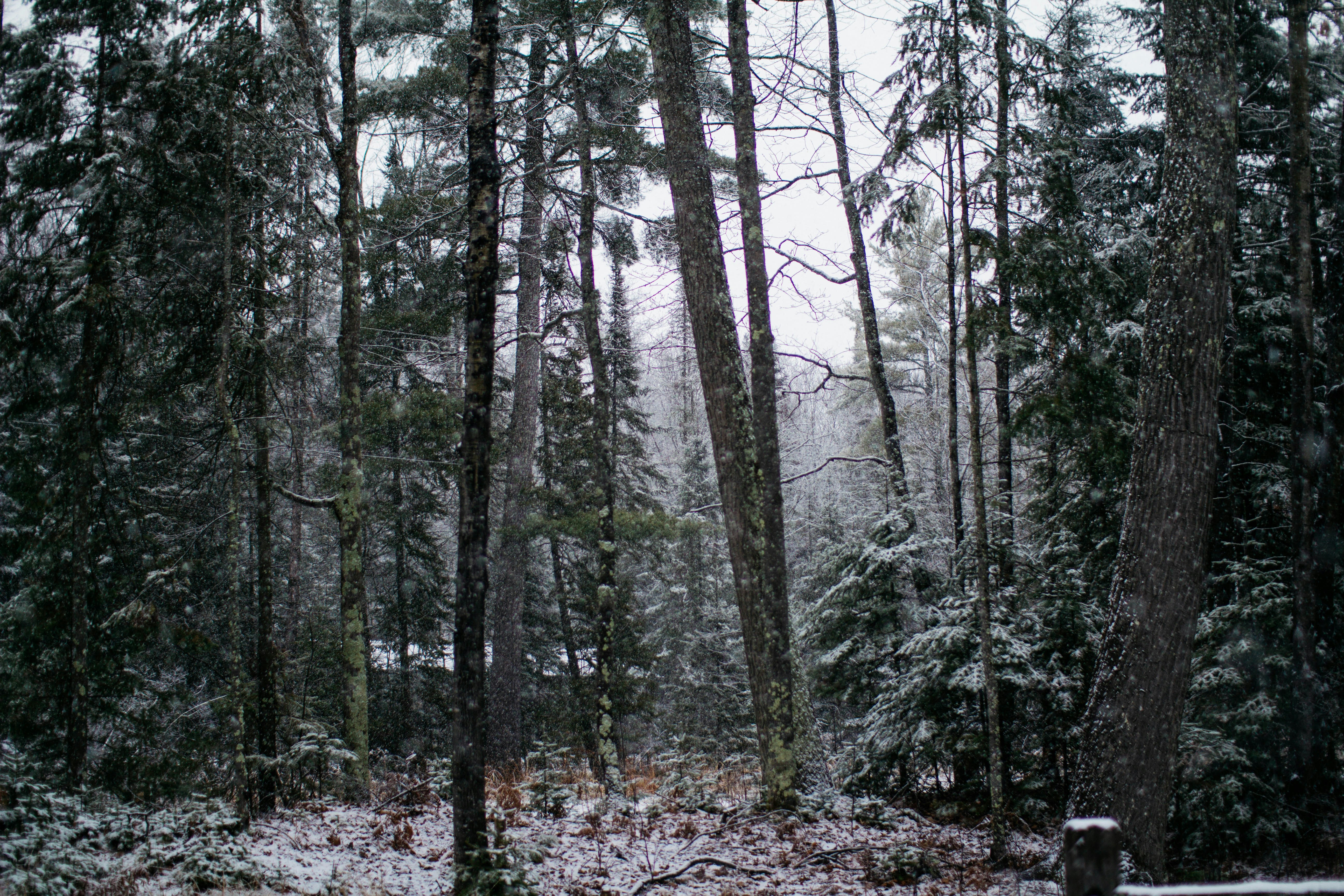 Free Unsplash photo from Monica Winters